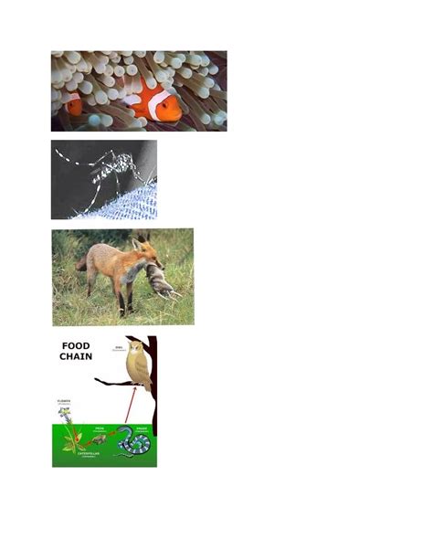 Abiotic component Types 的图像结果