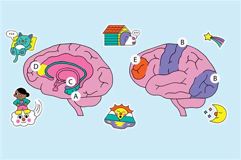 How your brain conjures dreams | Popular Science