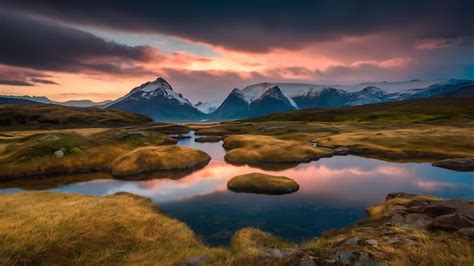 Nature View 的图像结果