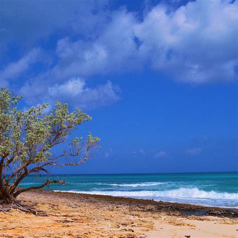 Sandy Point Tourism (2023): Best of Sandy Point, Bahamas - Tripadvisor