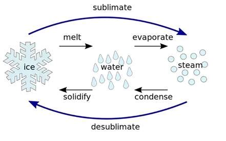 Name the term used for: (i) Solid directly formed from the gas ...