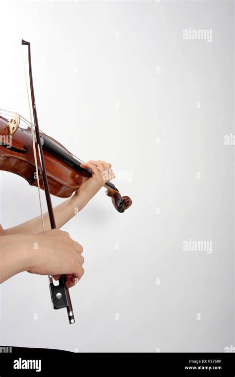 Image result for Viola String Instrument