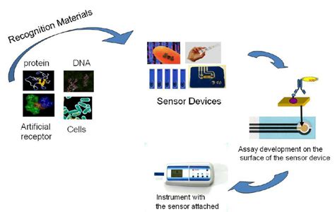 Image result for How Does a Biosensor Work