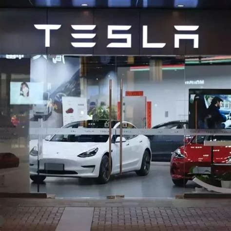 How Can Tesla Produce A Rs 20 Lakh EV For The Indian Masses?