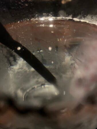 Bermuda Triangle Tours (St. George) - 2022 What to Know Before You Go ...