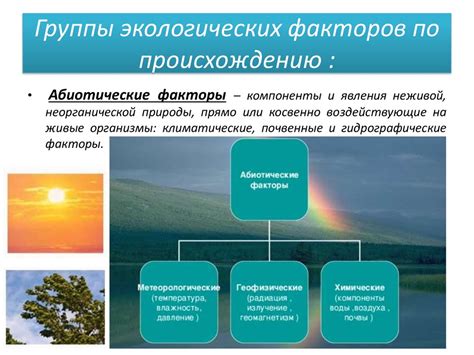 Классификация экологических факторов - online presentation
