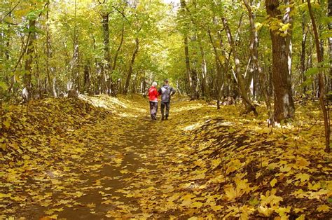 23 достопримечательности Тольятти и окрестностей: куда сходить и что ...