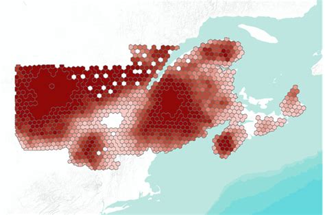 Image result for Pyplot Representation through Graph in Dataset in Python