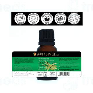 Soulflower Eucalyptus Essential Oil 15ml - Uses, Side Effects, Dosage ...