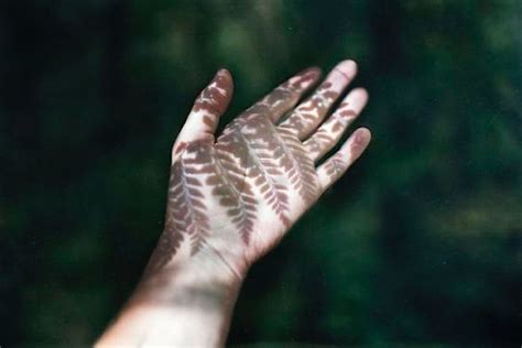 Forest Therapy, is Shinrin-yoku/Forest Bathing in the Royal National ...