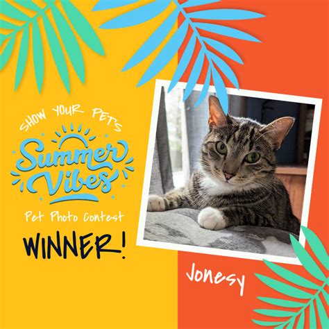 Get Involved - Emancipet