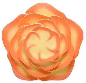 Zak Designs Garden Rose Plate Set, Tonal Yellow, 4-Piece : Amazon.in ...