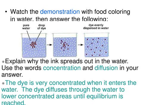 Diffusion Using Food Coloring 的图像结果