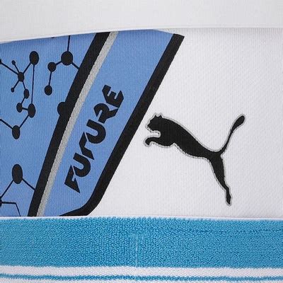 PUMA Future 20.2 Unisex Cricket Thigh Pad – Khelomore Shop