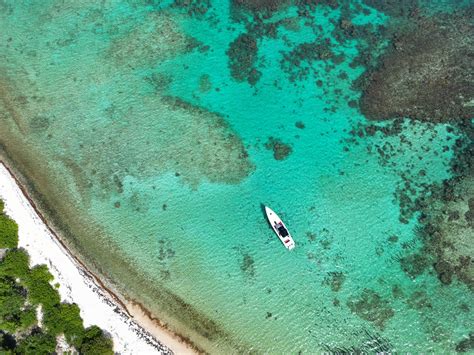 Image result for Infinity Boat