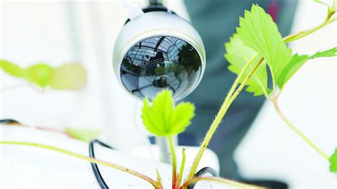 慧诺瑞德重磅推出叶绿素荧光成像PlantExplorerXS—生物器材网