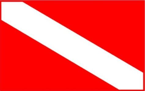 Dive Float With Flag Trident Deluxe Dive Flag And Float Combo – Diver ...