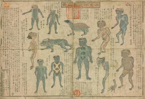 What Are Yokai? Japanese Spirits and Folklore | Explore Yokai