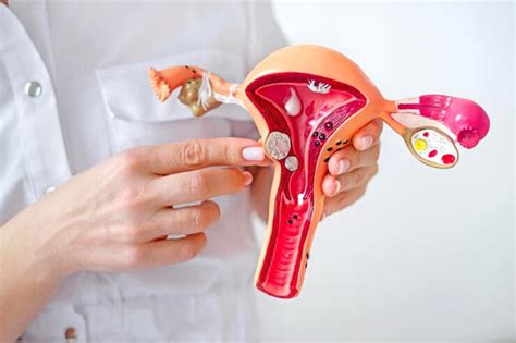 What is Uterine cancer? Causes, Symptoms and Treatments – Green Delight ...