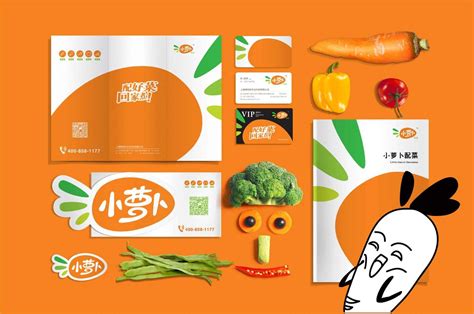 生鲜电商小萝卜配菜-上海硕谷品牌设计有限公司
