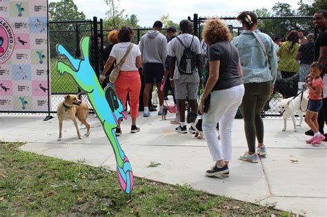 Dogs, owners have a ball at Palmer Park's new dog park - WDET 101.9 FM