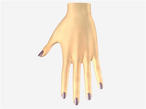 Image result for Female Hand 3D Modeling