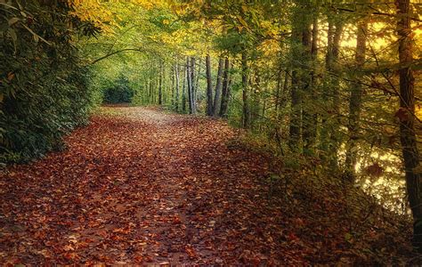 Valdese Lakeside Park – Friends of the Valdese Rec