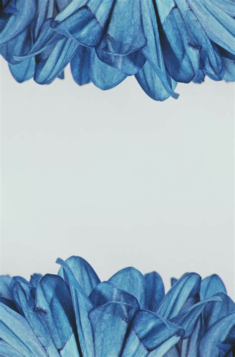 Image result for Border Design