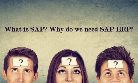 Image result for SAP Explained