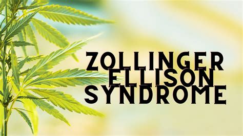 Unraveling the Potential of Cannabis Strains in the Treatment of Zollinger-Ellison Syndrome ... - treatment for zollinger ellison syndrome