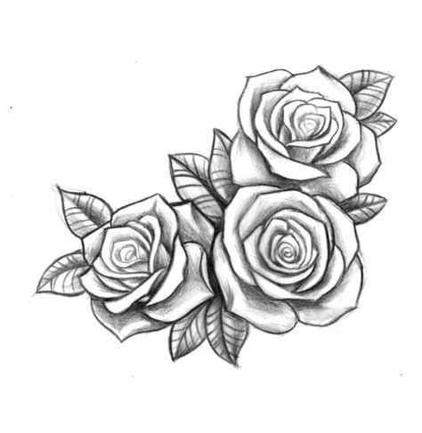 3 roses drawing easy