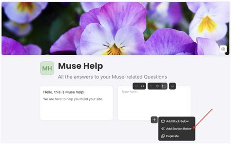 Image result for Using Muse Depository