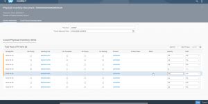 Count Physical Inventory – Paper-Driven Counting - EWMSUPPORT