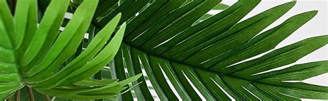 Buy Blooming Floret Artificial Areca Palm 21 Leaves With Pot Big ...