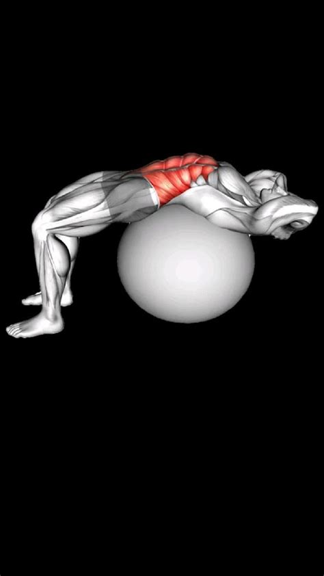 Abs ball workout | Abs workout, Stomach workout, Workout videos