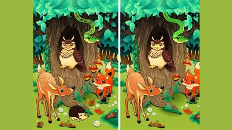Spot The Difference: Can you spot 10 differences in 21 seconds?