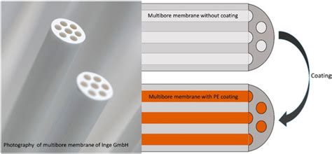 Characterization and Performance of LbL-Coated Multibore Membranes ...
