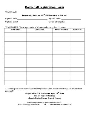 KHP Dodgeball Registration 2009-2025 - Fill and Sign Printable Template ...