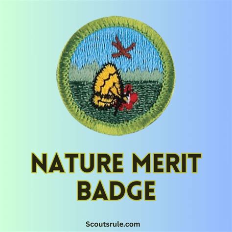 Engineering Merit Badge Guide - Scouts Rule