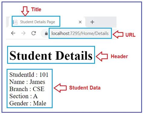 Asp.net Using View Bags 的图像结果