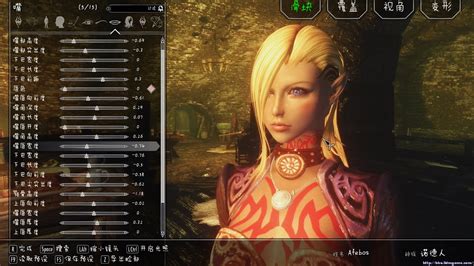 《上古卷轴5：天际》各类型美女随从MOD合集