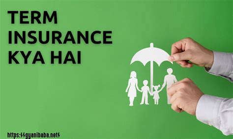 टर्म इंश्योरेंस क्या है? | Term Insurance Details in Hindi