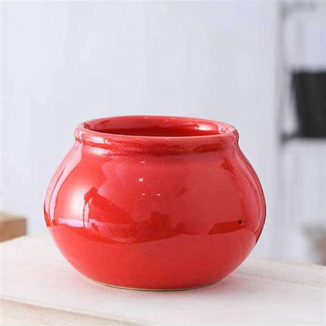 Buy Red Color Planters online from Nurserylive at lowest price.
