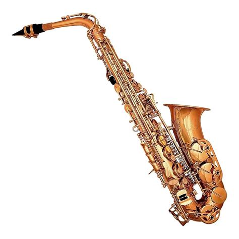 Kadence Alto Saxophone Lacquered Gold, Case, Mouthpiece, Polishing ...