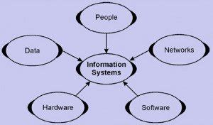 Information Systems 的图像结果