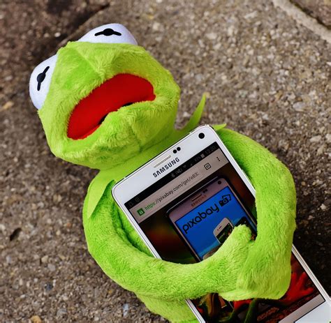 Kermit,frog,smartphone,pixabay,image database - free image from needpix.com