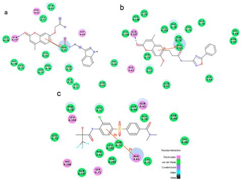 Computational Study on New Natural Compound Inhibitors of Pyruvate ...