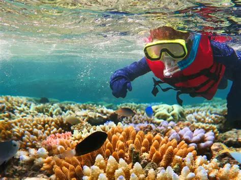 You thought heatwaves are killing coral reefs slowly. Think again - The ...