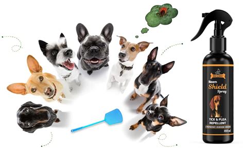 Dogz & Dudez Natural Neem Shield Tick & Flea Repellent Spray for dogs ...