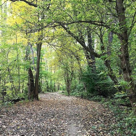 Forest Bathing/Shinrin Yoku April 2024, Lake Isaac, Mill Stream Run ...